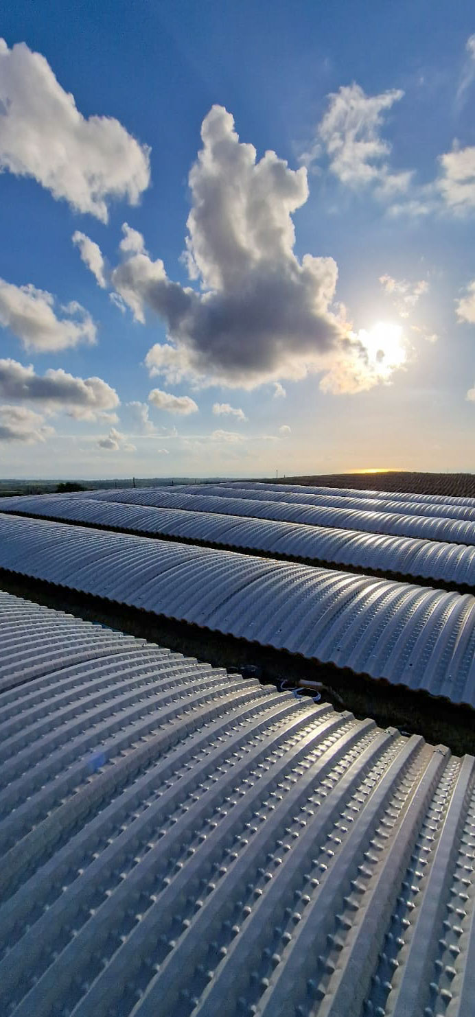 Rifacimento Copertura Capannone Industriale